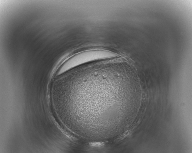 X0000067340053200604071402