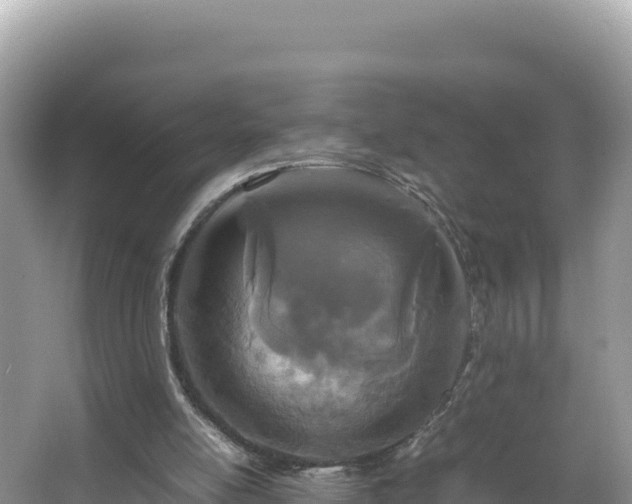 X0000067340054200604071402