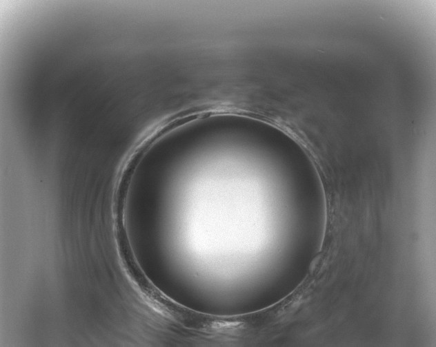 X0000067340055200604071402