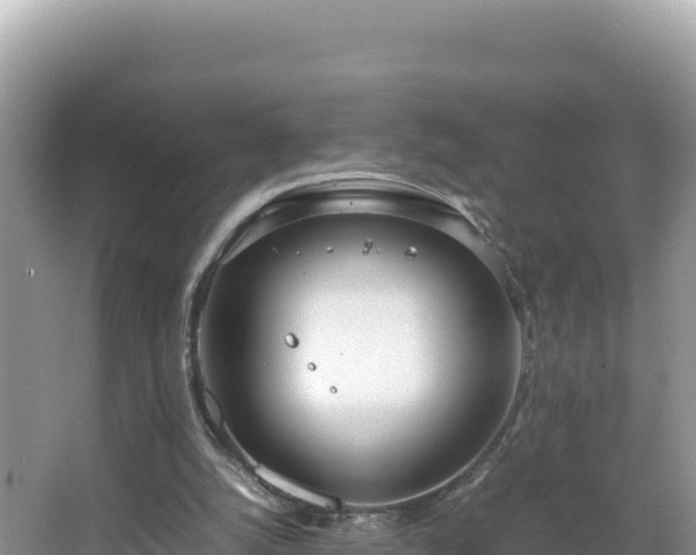 X0000067340056200604071402