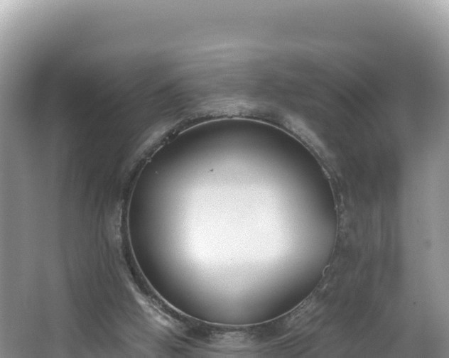 X0000067340058200604071402