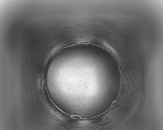 X0000067340059200604071402