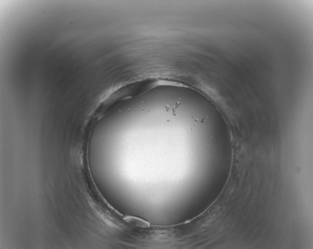 X0000067340060200604071402