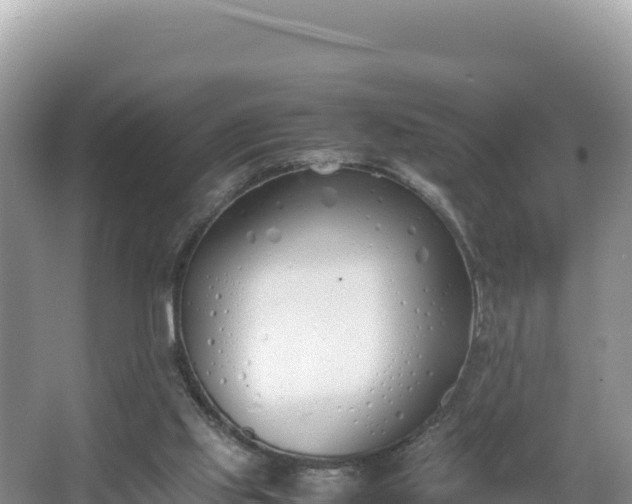 X0000067340061200604071402