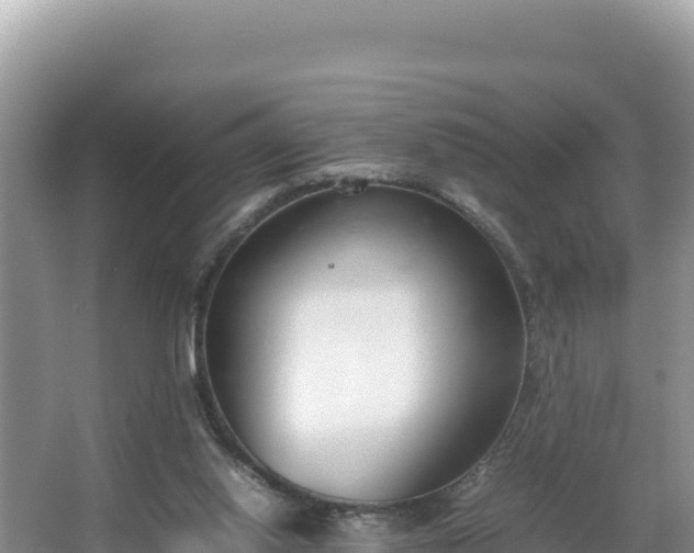 X0000067340062200604071402