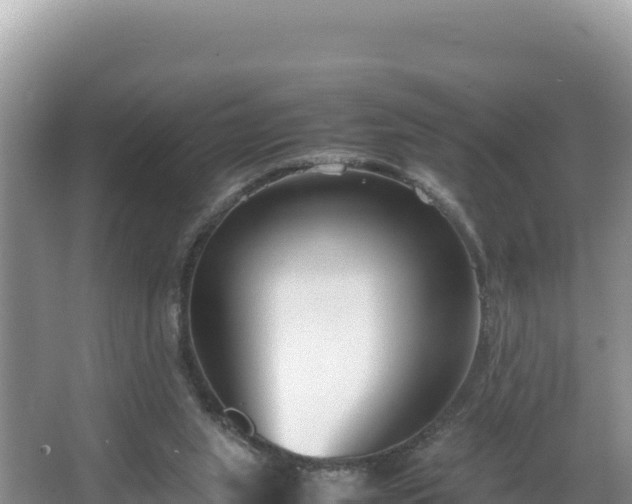 X0000067340063200604071402