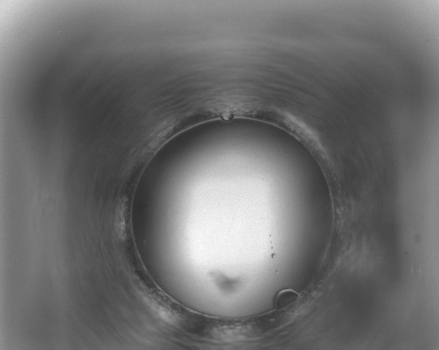 X0000067340065200604071402