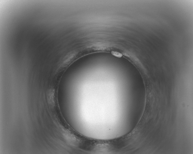 X0000067340066200604071402