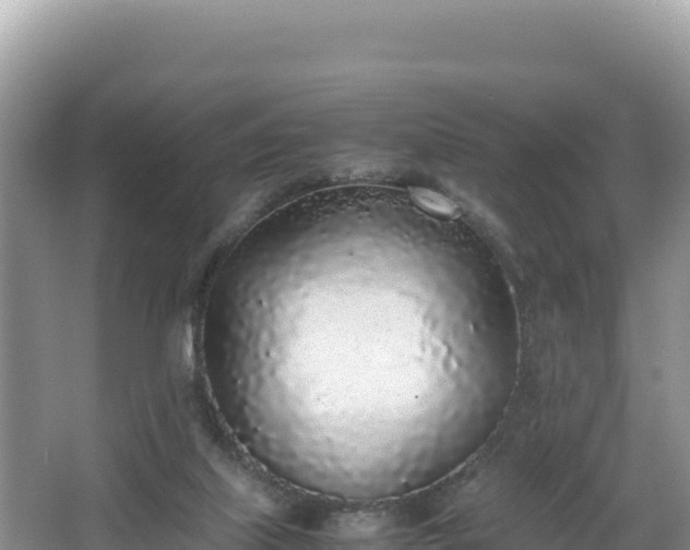 X0000067340067200604071402