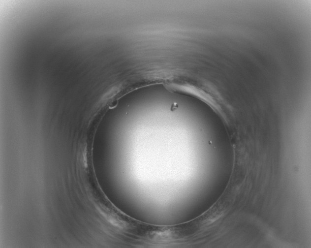 X0000067340068200604071402