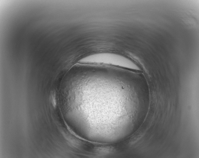 X0000067340069200604071402