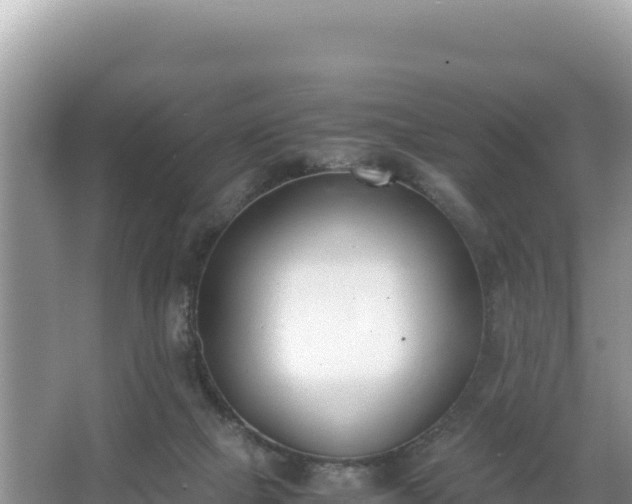 X0000067340073200604071402