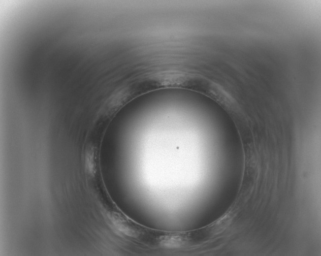 X0000067340074200604071402