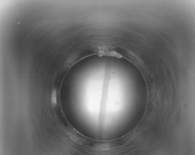 X0000067340075200604071402