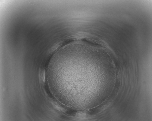 X0000067340076200604071402