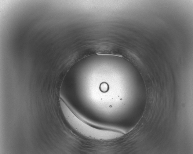 X0000067340077200604071402