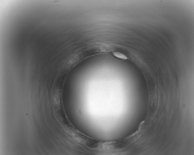 X0000067340078200604071402