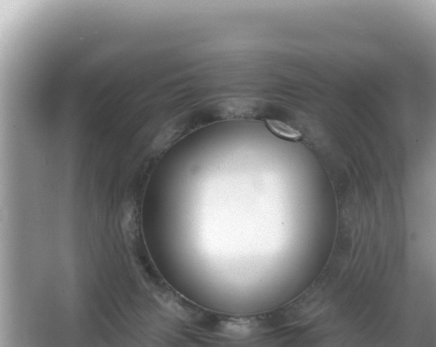 X0000067340079200604071402