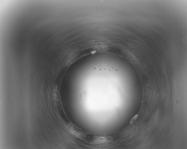 X0000067340083200604071402