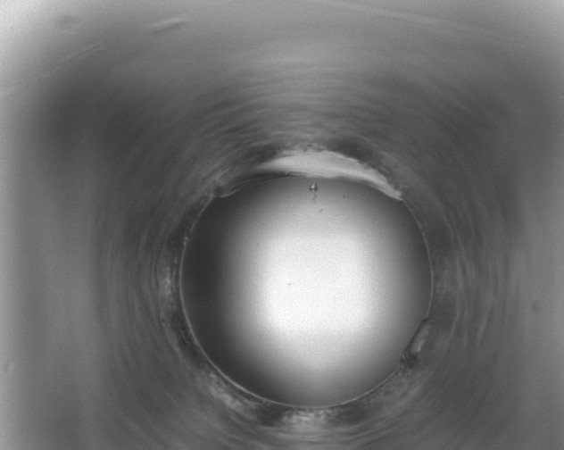 X0000067340084200604071402