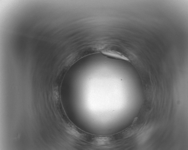 X0000067340085200604071402