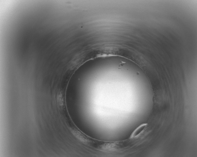 X0000067340086200604071402