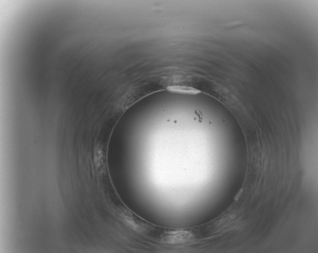 X0000067340087200604071402