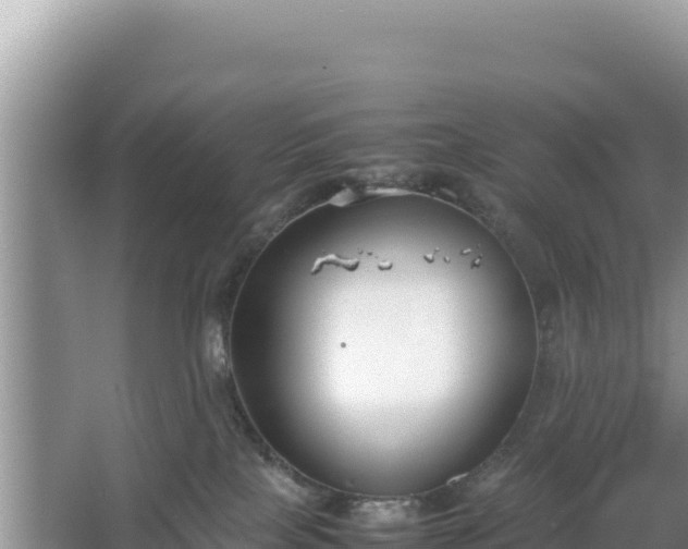 X0000067340089200604071402