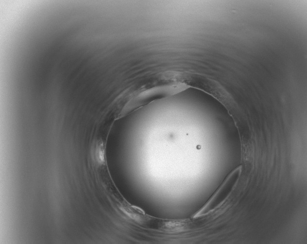 X0000067340095200604071402