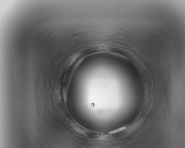 X0000067340096200604071402