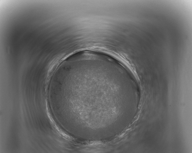 X0000067340097200604071401