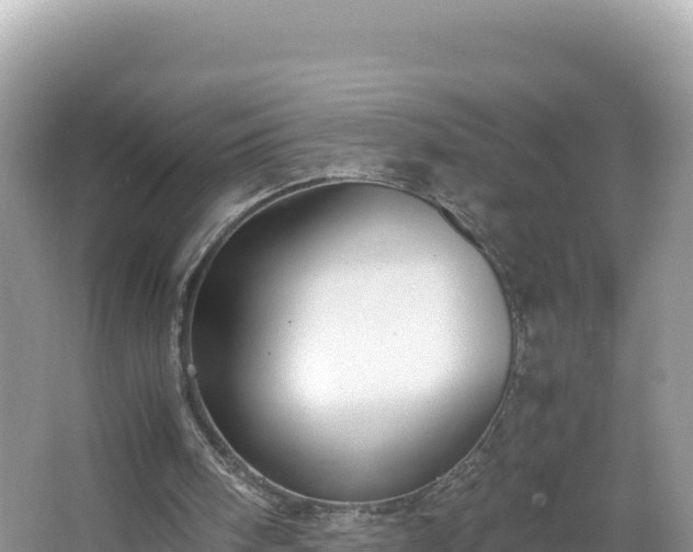 X0000067340098200604071401