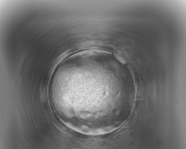 X0000067340099200604071401