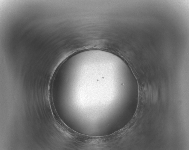 X0000067340100200604071401