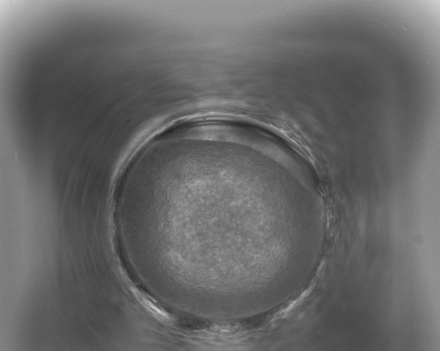 X0000067340101200604071401