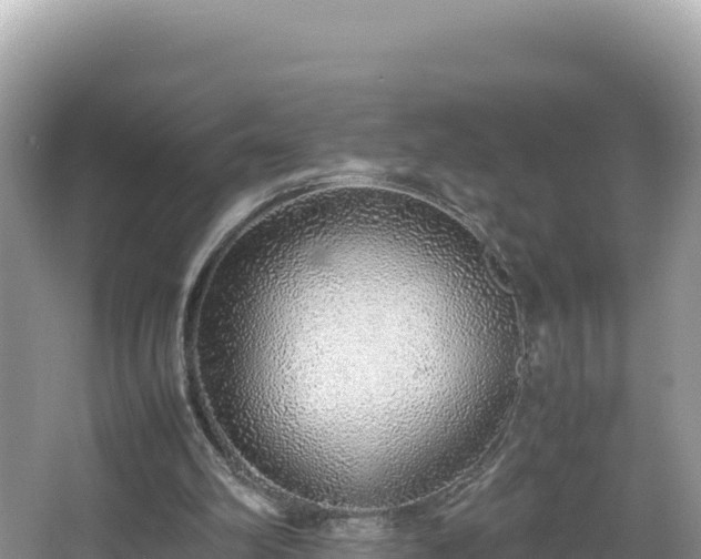 X0000067340102200604071401