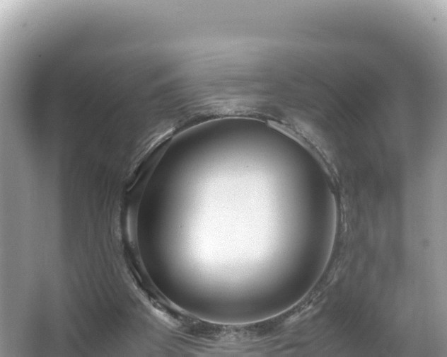 X0000067340105200604071401