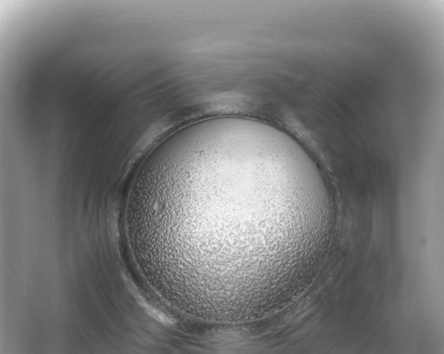 X0000067340106200604071401