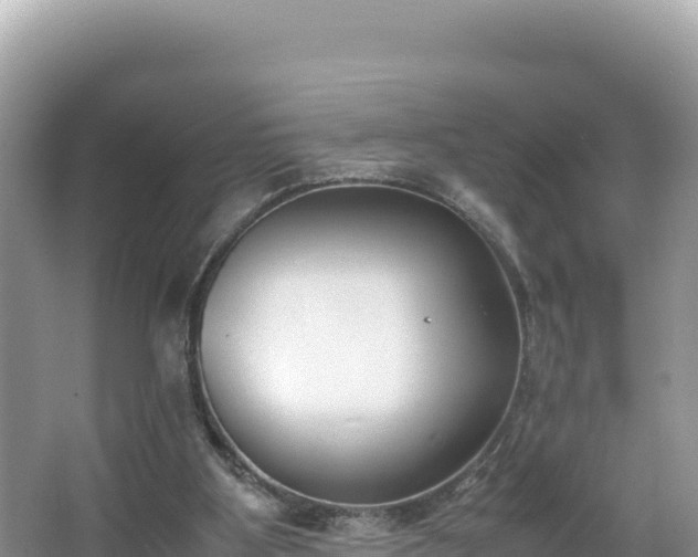 X0000067340107200604071401