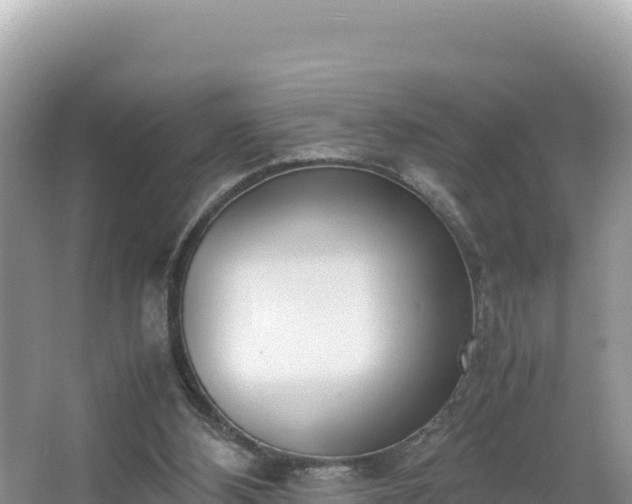 X0000067340108200604071401