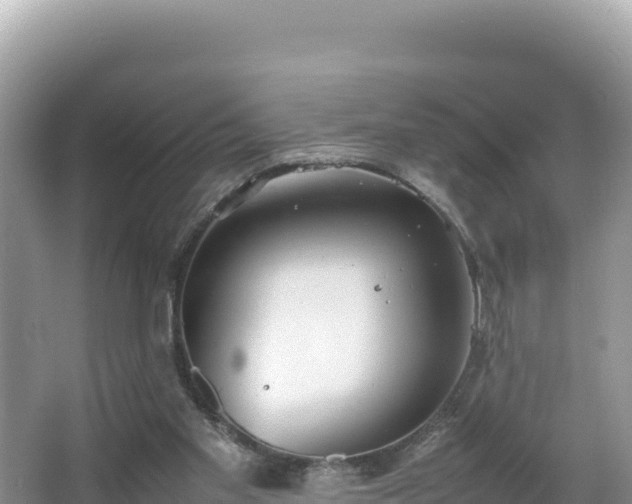 X0000067340109200604071401