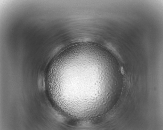 X0000067340110200604071401