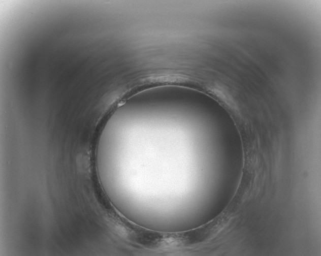 X0000067340111200604071401