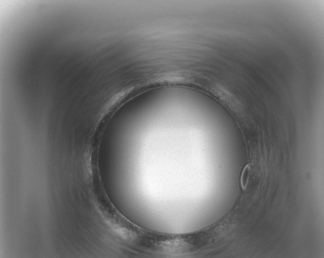 X0000067340112200604071401