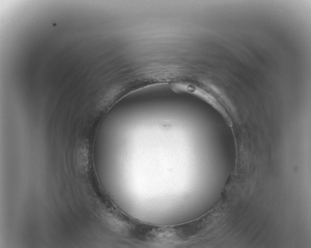 X0000067340113200604071401