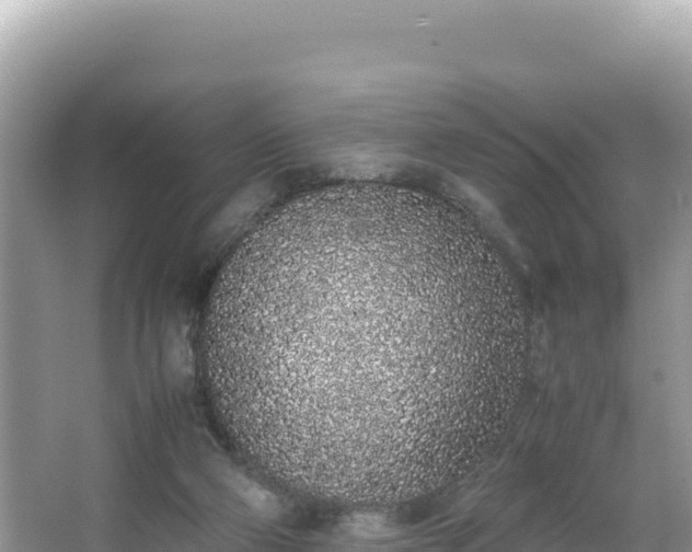 X0000067340114200604071401