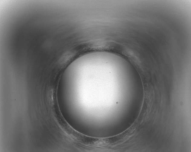 X0000067340115200604071401