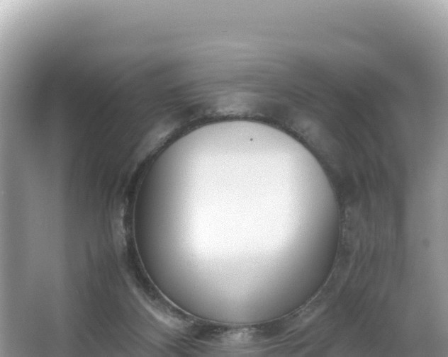 X0000067340116200604071401