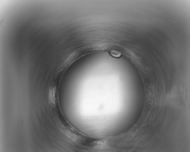 X0000067340118200604071401