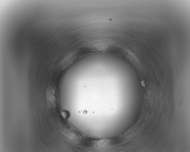 X0000067340122200604071401